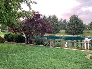 4th image of 10119 Beresford Ct