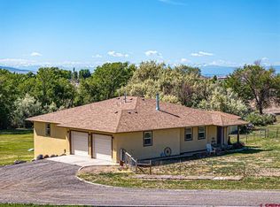 20260 Fawn Cir, Eckert, CO 81418