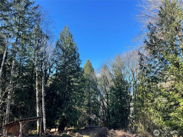 9999 Dosewallips Road, Brinnon, WA 98320