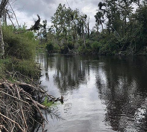 3rd image of 0 E Green Branch Rd