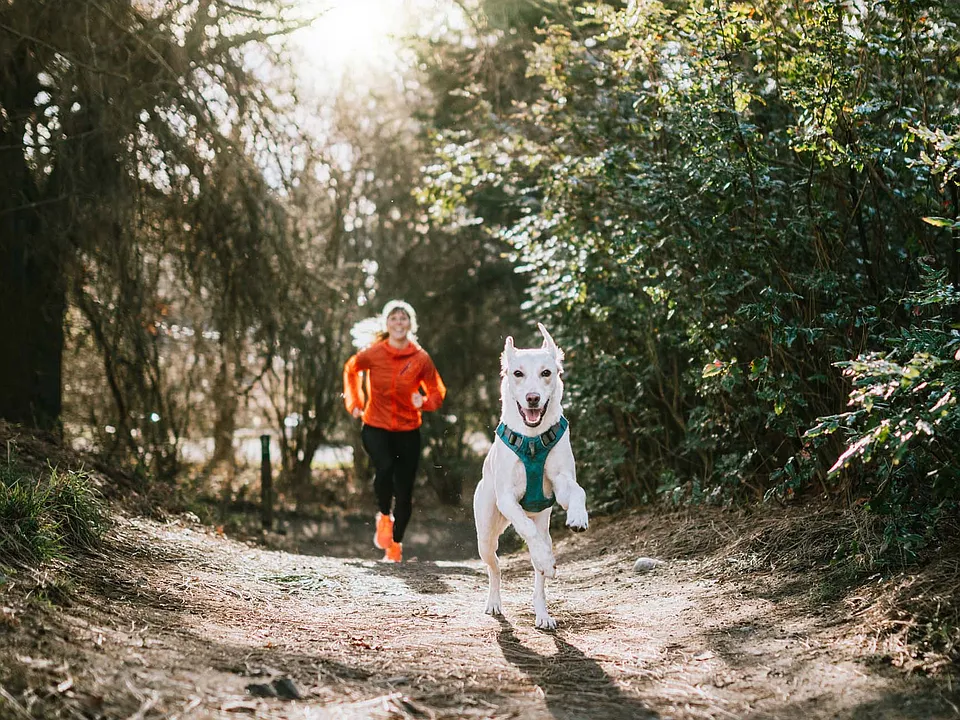 Lace up, bring your four-legged companion, and enjoy more ways to get outside and explore.