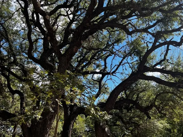 440 Red Wright Rd, Leakey, TX 78873