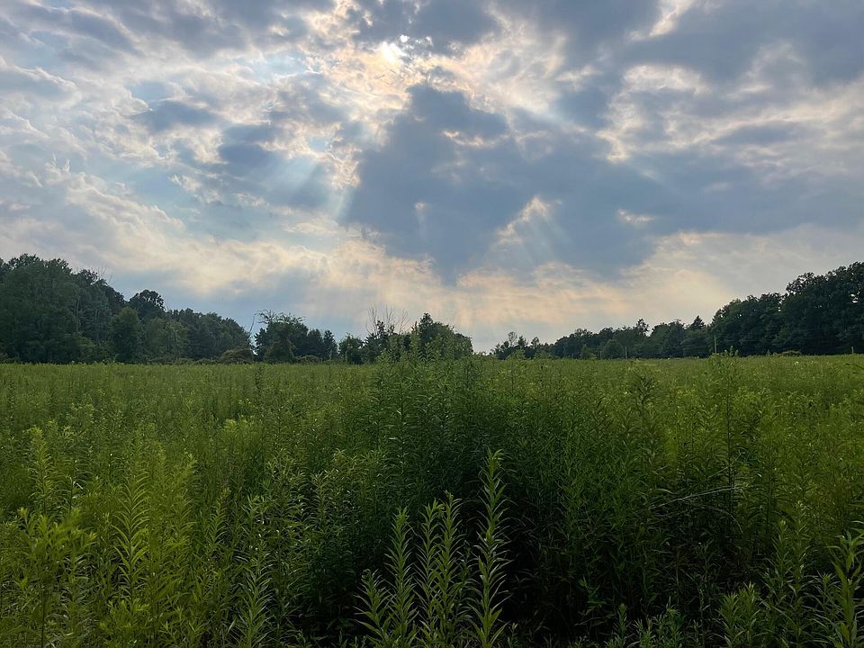 2nd image of 0 County Road 47 Rd