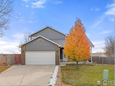 576 S Honeylocust Ct, Milliken, CO, 80543