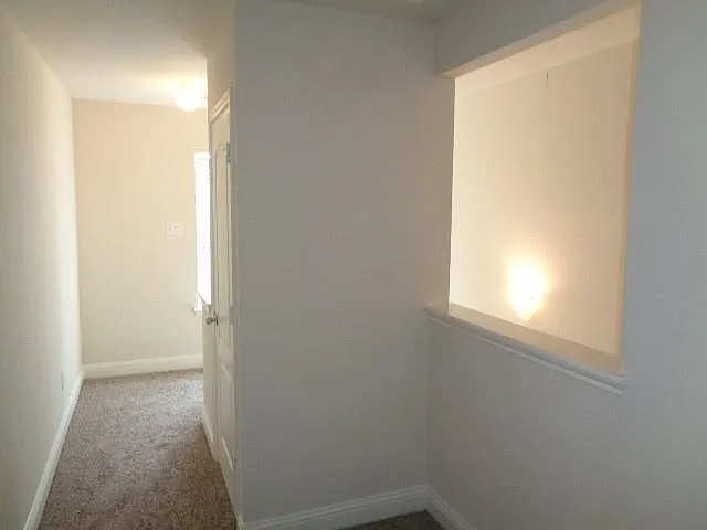 11310 Seven Sisters Dr — Photo 13