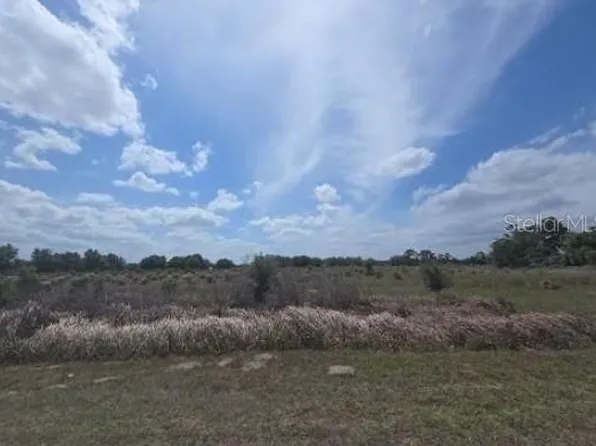 0 Artifact Dr Lot 2, Zephyrhills, FL 33541