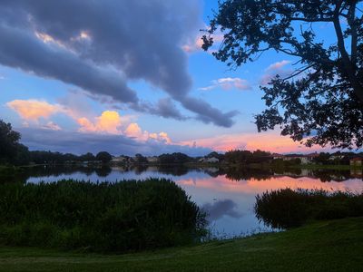 (Undisclosed Address), Tampa, FL, 33634