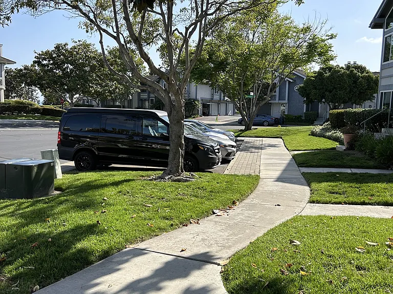 866 Hollyhock Ct — Photo 31