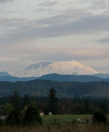 4th image of 1080 State Route 505