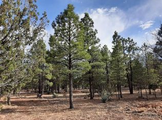 4286 Twin Oaks Loop, Happy Jack, AZ 86024