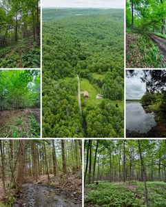 308 Tennent Rd, Windsor, NY, 13865