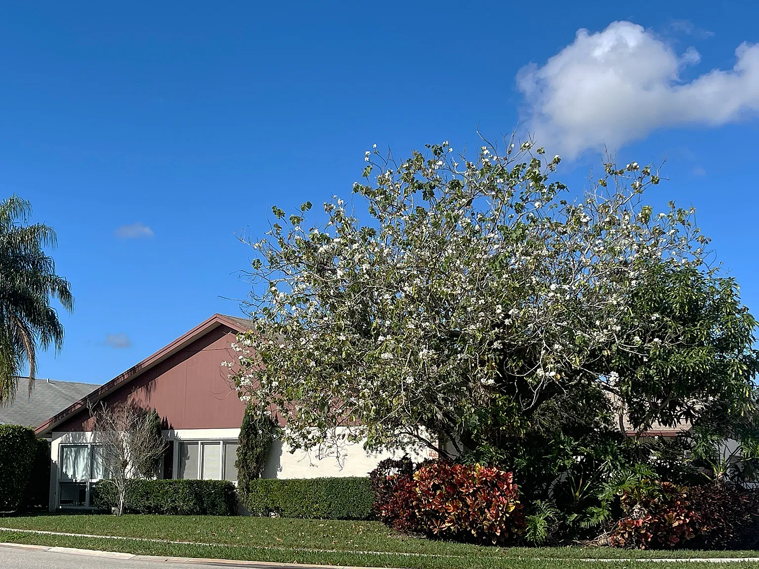 2 bed, 1188 sqft, $3,100 — Photo 3