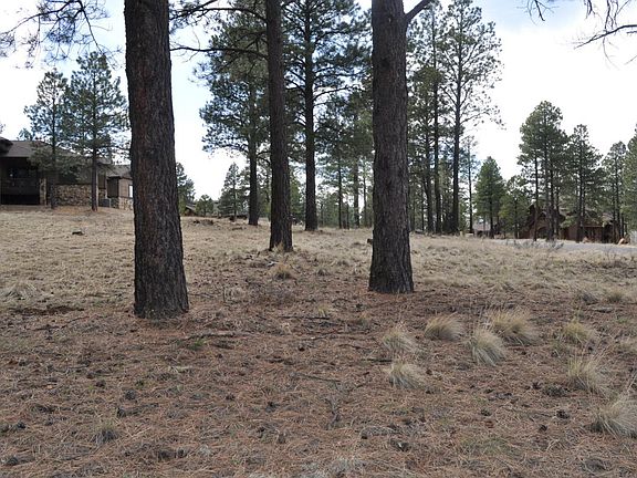 5th image of 1951 E Bare Oak Loop