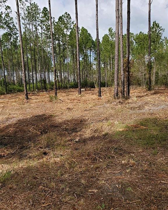 County Road 1469, Earleton, FL 32631 MLS T3383593 Zillow