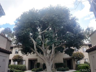 24 Via Solaz, Rancho Santa Margarita, CA, 92688