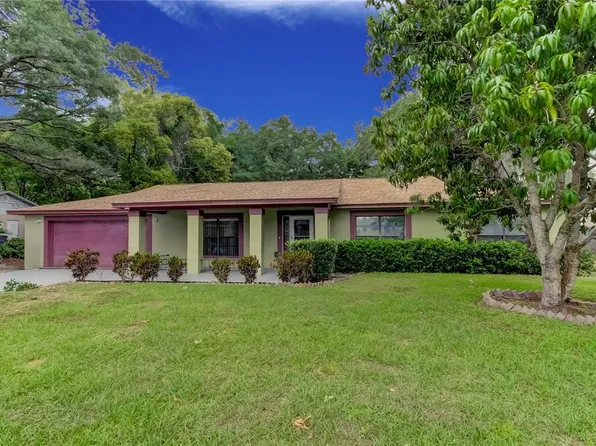 14216 Briarthorn Dr, Tampa, FL 33625