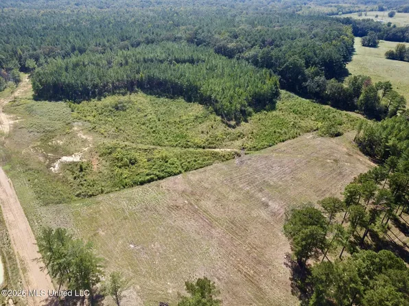 Sulphur Springs Rd Lot 2, Canton, MS 39046