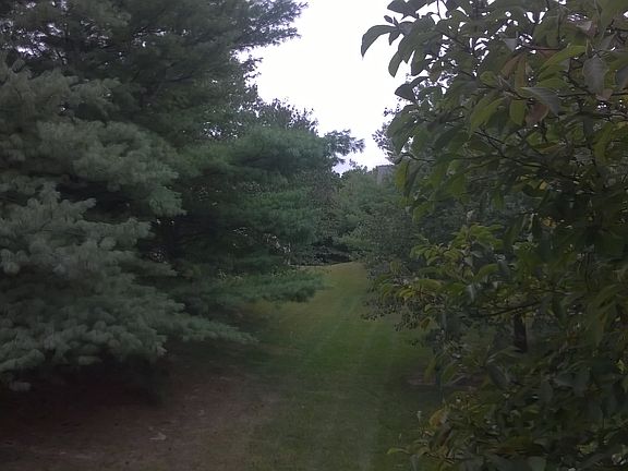 Serene wooded view from balcony/bedrooms