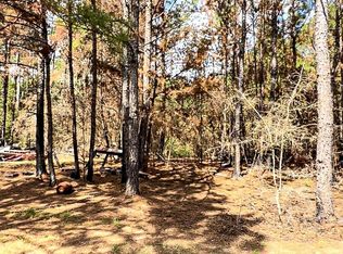 601 Oak Ridge Rd, Willis, TX 77378