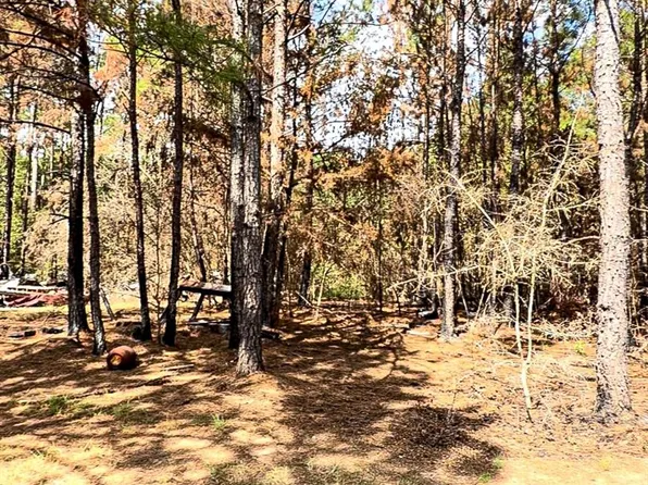 601 Oak Ridge Rd, Willis, TX 77378