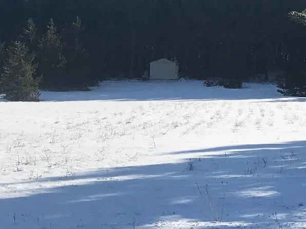 9945 Banwell Rd, Alanson, MI 49706