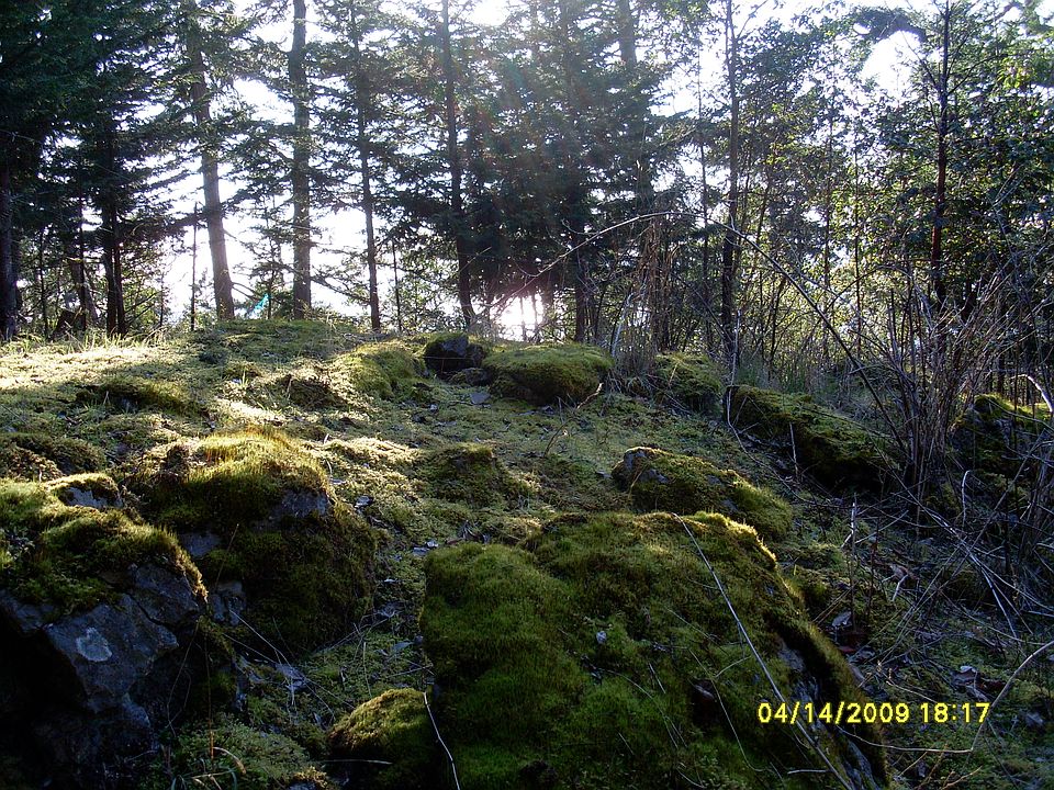 2nd image of 481 High Haro Dr
