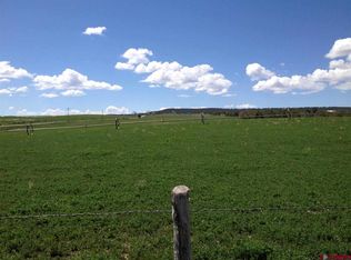 38891 Fruitland Mesa Rd, Crawford, CO 81415
