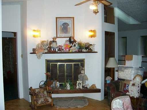 Living Room Wood Burning Fireplace