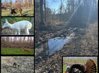 0 Kitchen Rd, Leasburg, MO 65535