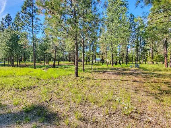 253 Eagle Dr, Chewelah, WA 99109