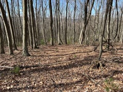 52 Bear Trak, Gap Mills, WV, 24941