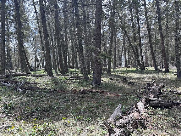 4th image of 792 Crest Dr
