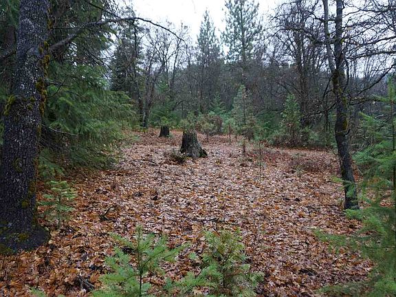 3rd image of 2719 Mistletoe Ln