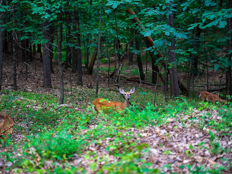 Minutes from Kennesaw Mountain National Battlefield Park and scenic hiking trails nearby.