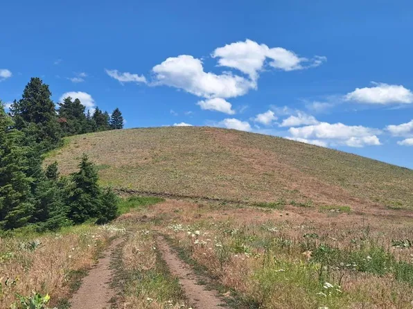 Bare Land Elk View Rnch, Lewiston, ID 83501