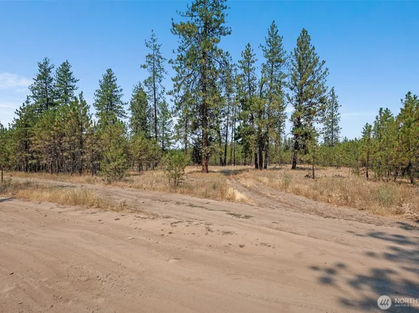 7540 Kimberly Dr Way, Ford, WA 99013
