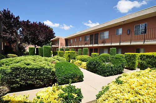 Ashwood Apartments Photo 1