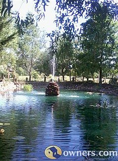 35,000 gal fish pond in front of house