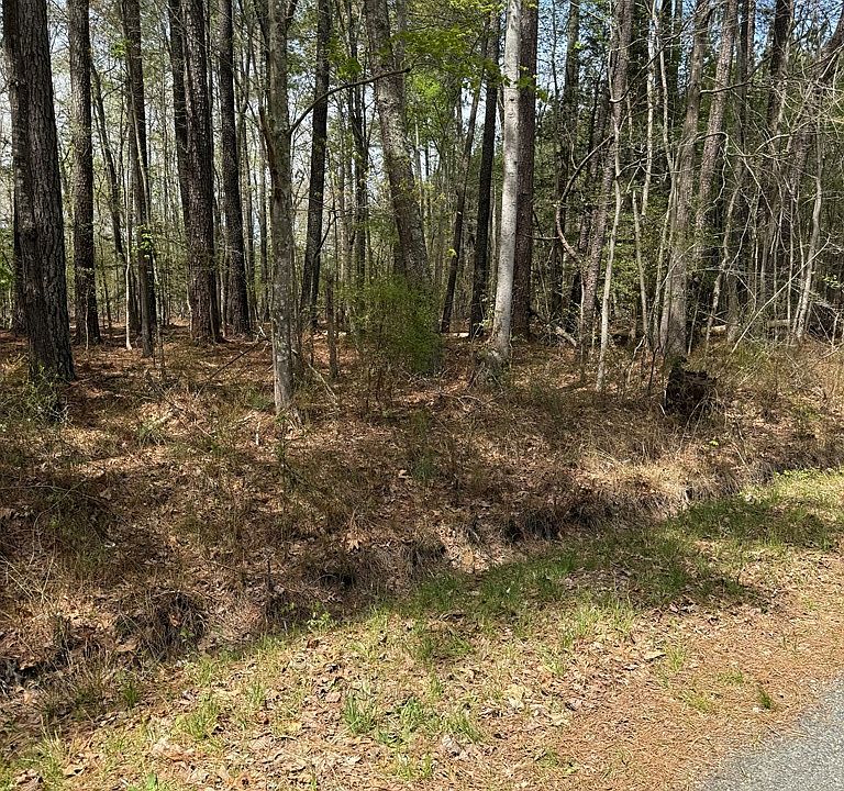 2nd image of LOT-245A Blundon Rd