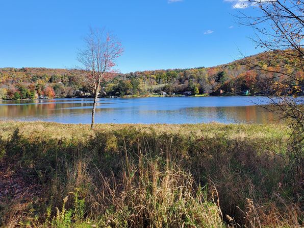 243 N Lake Rd, Brackney, PA 18812
