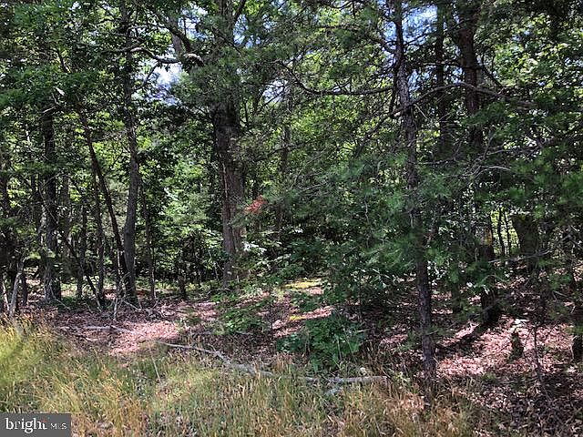 2nd image of 12185 Mount Rose Dr