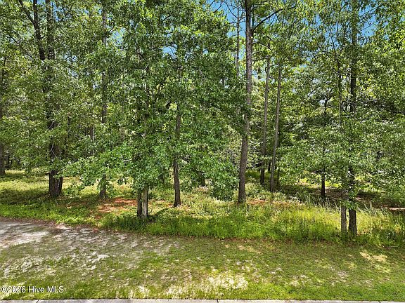 5th image of 499 Hearthside Drive SE LOT 209