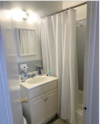 Rented by Native New York Real Estate Inc | media 6