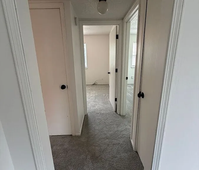 3536 Tudor Dr #C — Photo 20