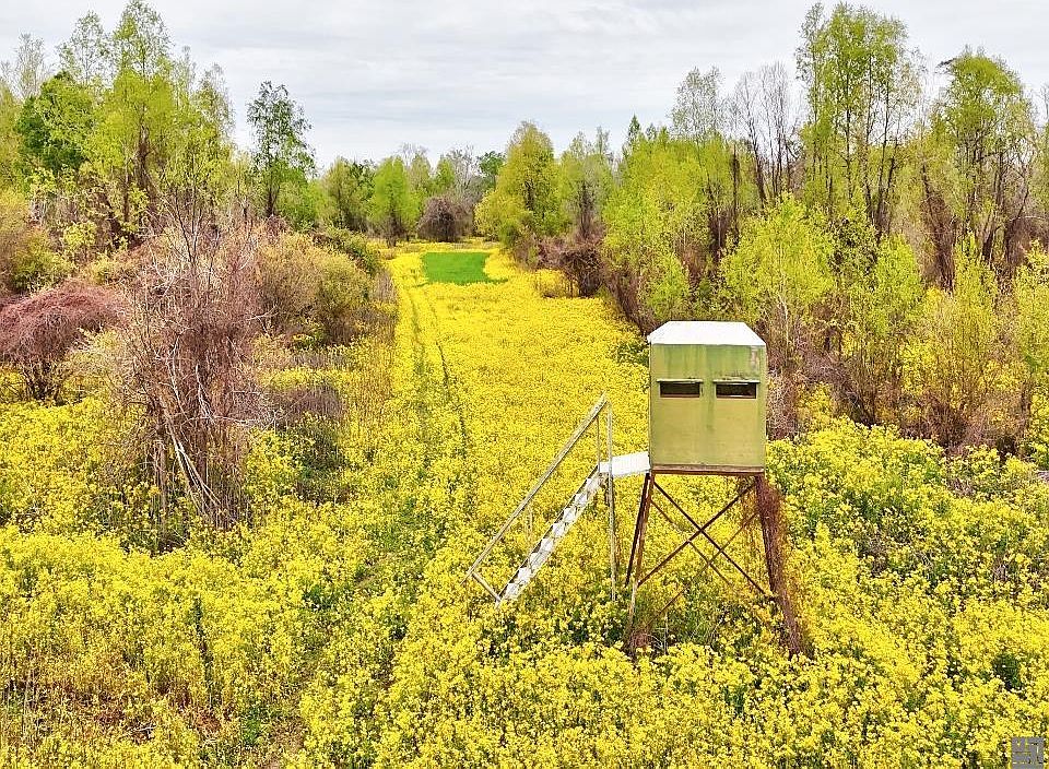 1st image of Cat Island Rd