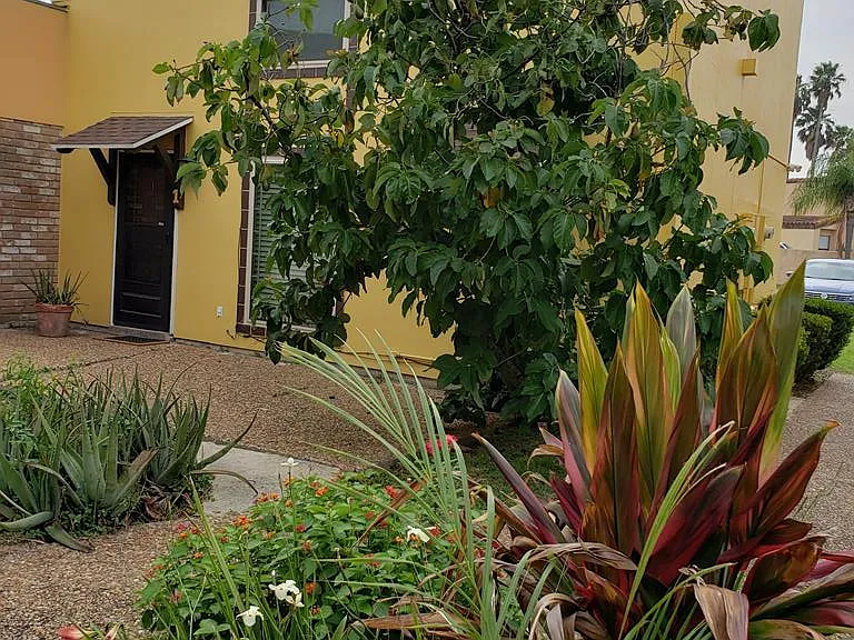 313-1 McFadden Hut Dr — Photo 1