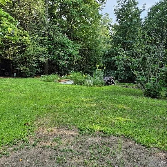 15731 Cooks Mill Rd — Photo 3