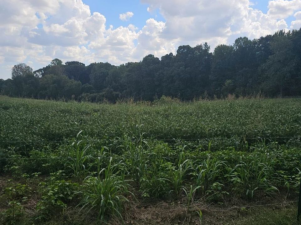 2nd image of 1 Shiloh Rd #5