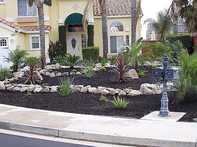 Tropical front landscape