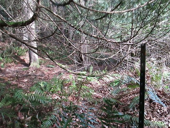 4th image of 0 Rainier Ln Lot 29